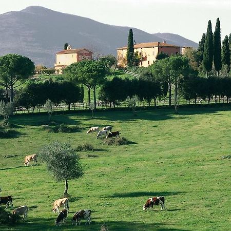 Poggiovalle Tenuta Italiana Belvedere  Dış mekan fotoğraf